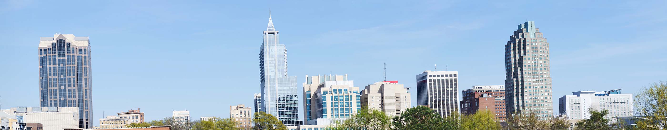Raleigh skyline