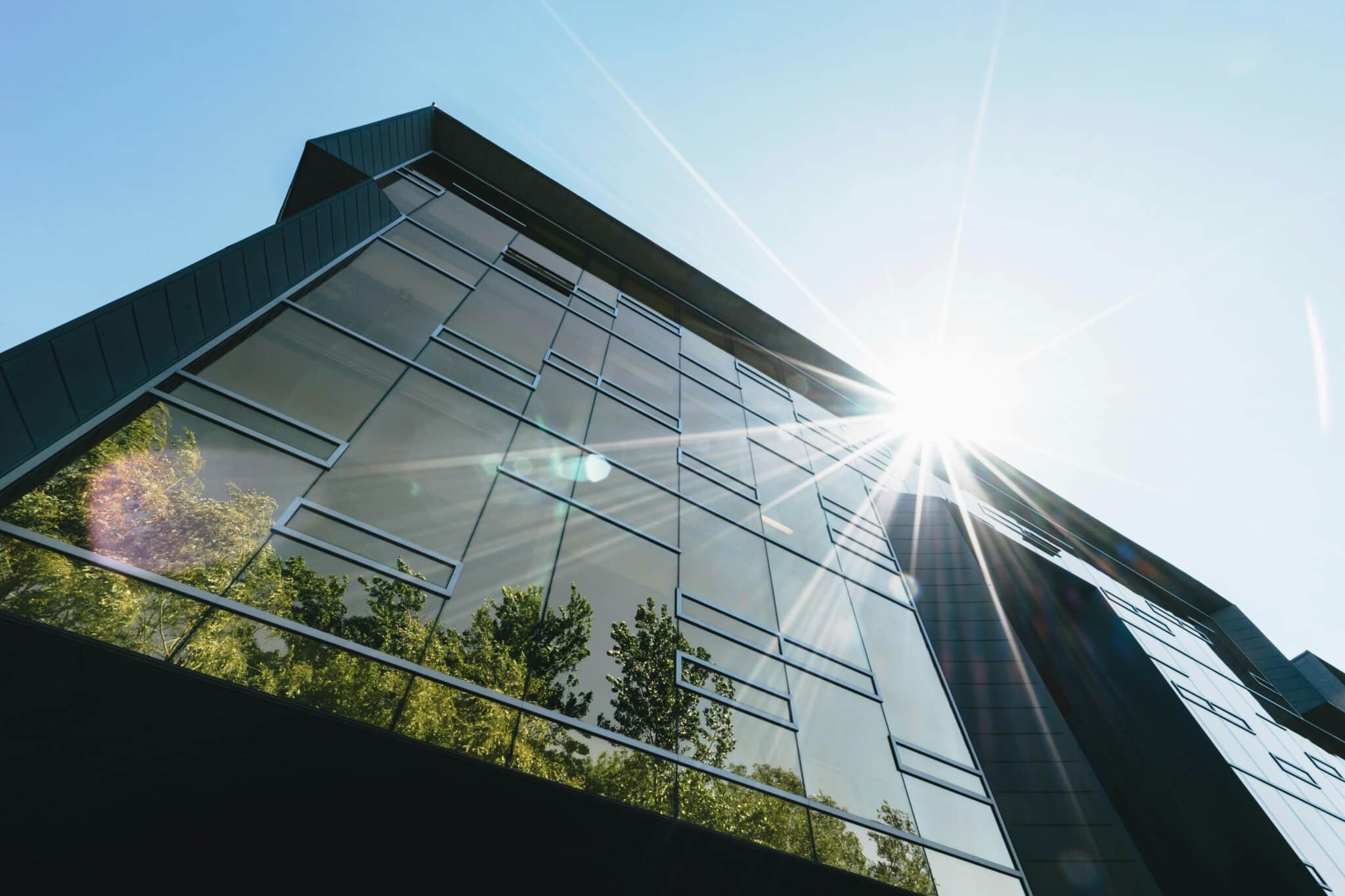 Exterior shot of office building with trees and many windows