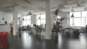 office with plants and natural lighting